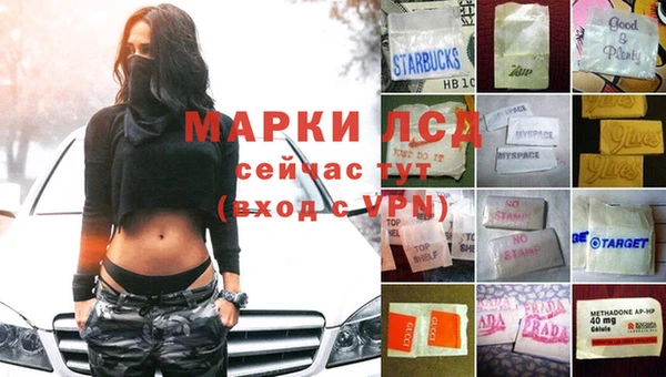 spice Баксан