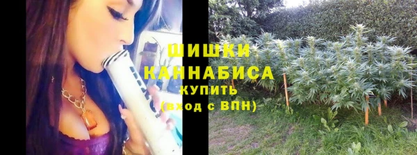 spice Баксан